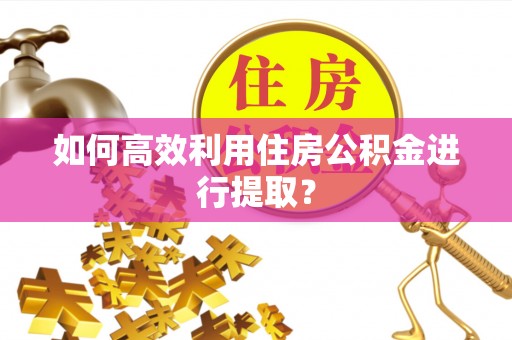 南明如何高效利用住房公积金进行提取？