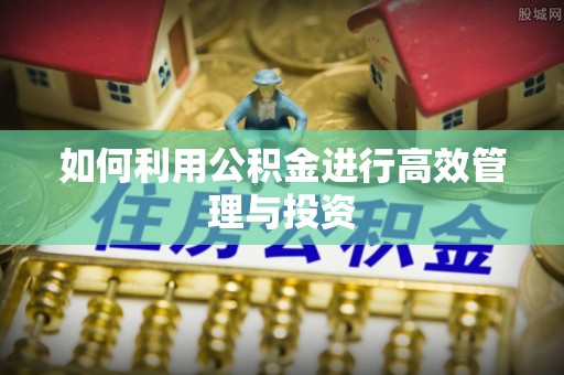 南明如何利用公积金进行高效管理与投资